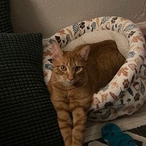 Meet your Posher, Jewel